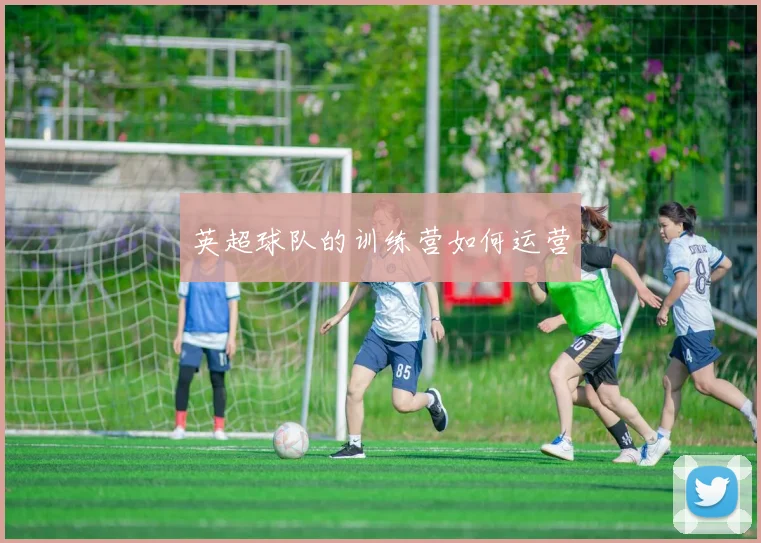 英超球队的训练营如何运营