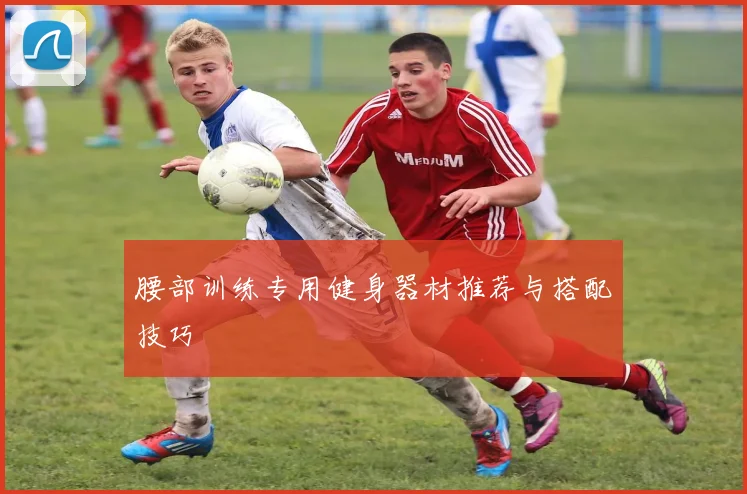 腰部训练专用健身器材推荐与搭配技巧